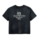 RASPBERRY HILLS GLOBAL PEACE TEE